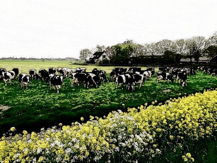 Farmer Farmyard Stays, Sleep Easy, Rural, Explore Camping